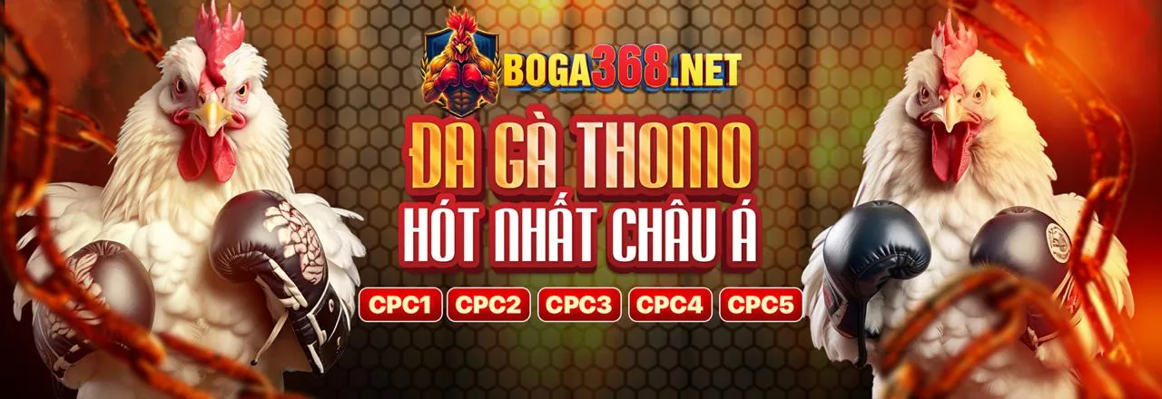 Hình ảnh tầm nhìn phát triển tương lai của winvnd bet